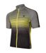 Dare 2B Mens Virtuous AEP Cycling Jersey (Agave Green)