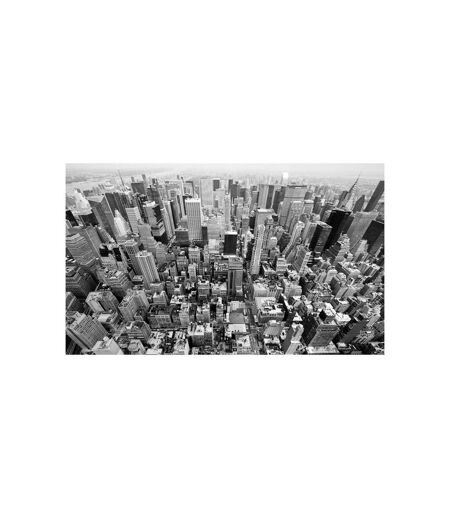 Papier Peint États Unis, New York : Noir & Blanc II 270x450cm