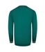 Unisex Adult Logo Round Neck Sweatshirt Green Cavalli Class-2