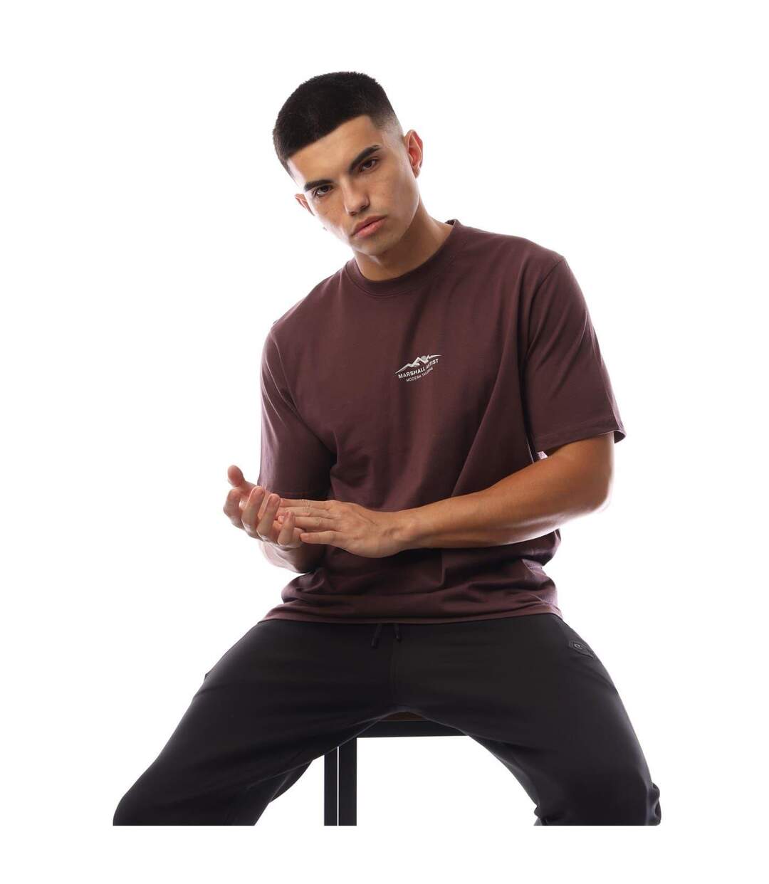 Mens Mountain Logo Regular T-shirt Fig Marshall Artist-1