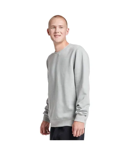 Unisex Adult Eco Premium Sweatshirt Frost Grey Heather Jerzees