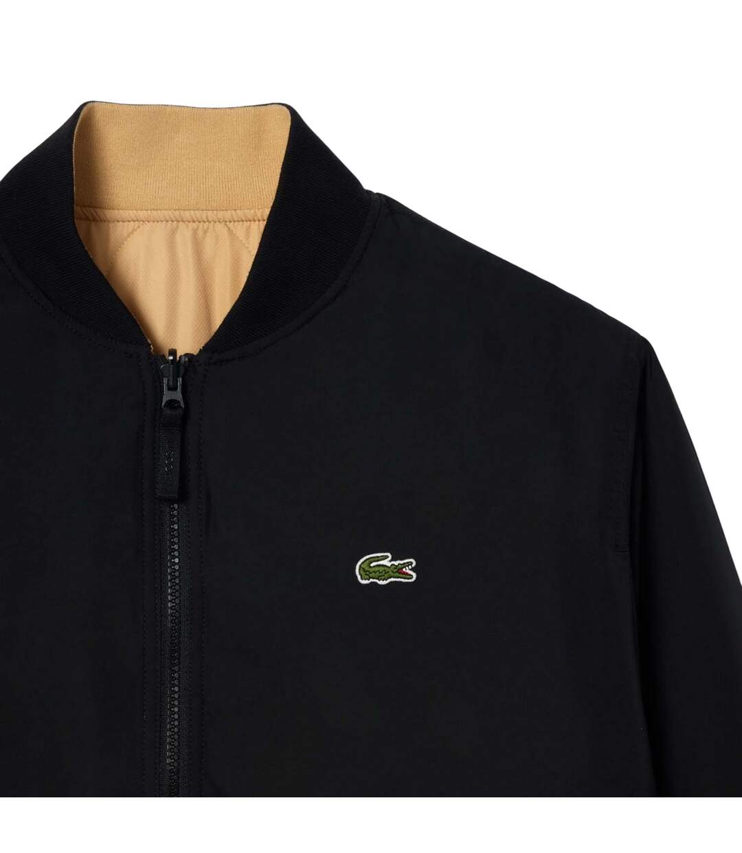 Blouson Aviateur Homme Noir Beige Lacoste-4