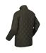 Regatta Mens Londyn Quilted Insulated Jacket (Dark Khaki) - UTRG6127
