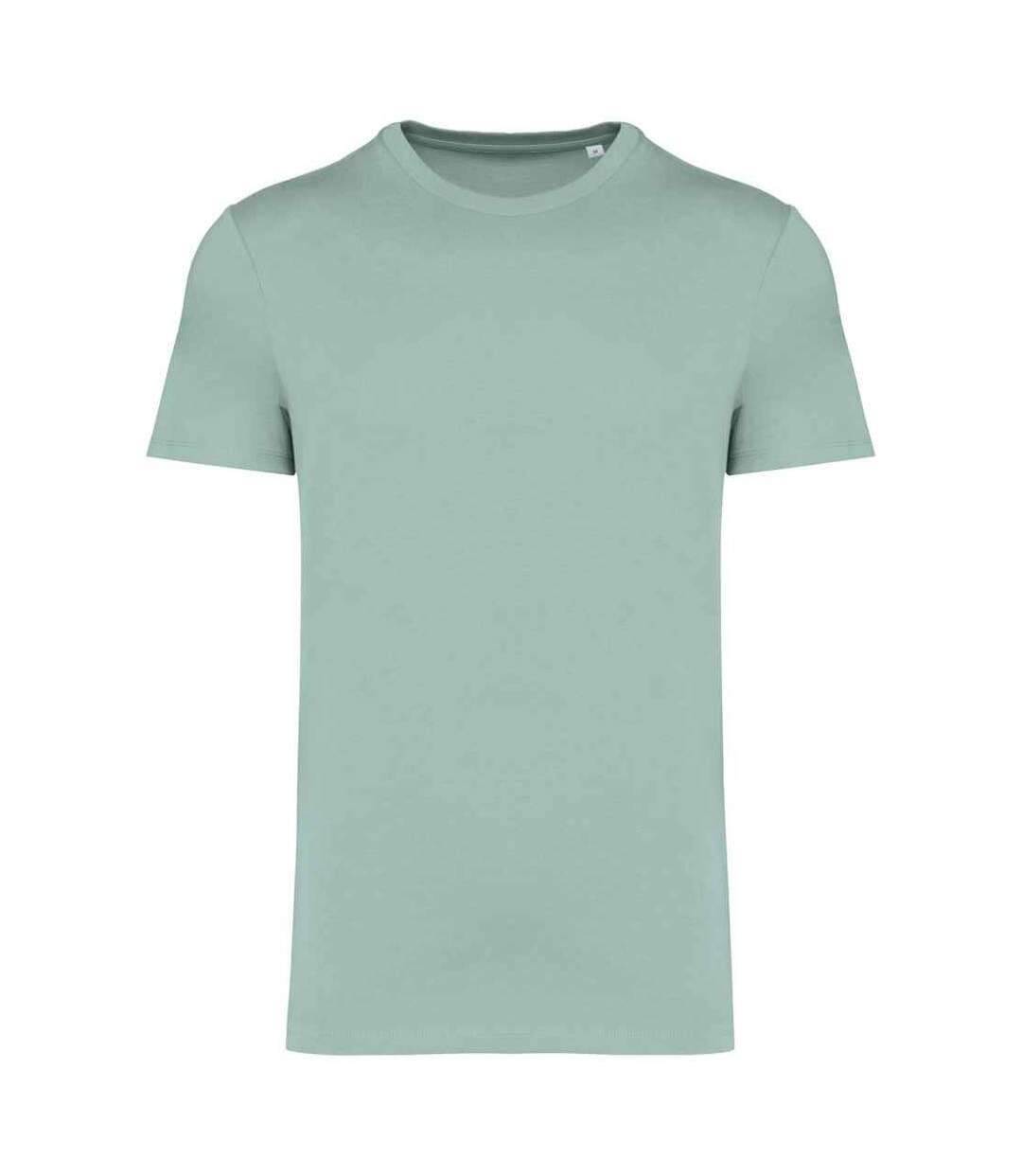 Unisex adult heavyweight slim t-shirt jade green Native Spirit-1