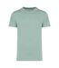 Unisex adult heavyweight slim t-shirt jade green Native Spirit-1