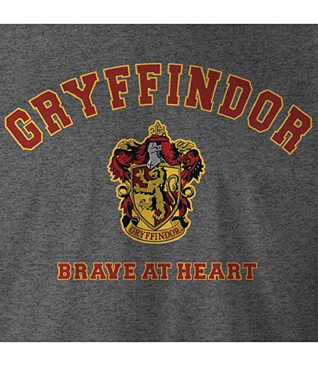 T-shirt Motif/style Gryffondor Brave At Heart Homme Anthracite Harry Potter-2