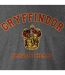 T-shirt Motif/style Gryffondor Brave At Heart Homme Anthracite Harry Potter-2