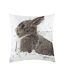 Photo hare cushion cover one size white/brown/powder blue Evans Lichfield-1