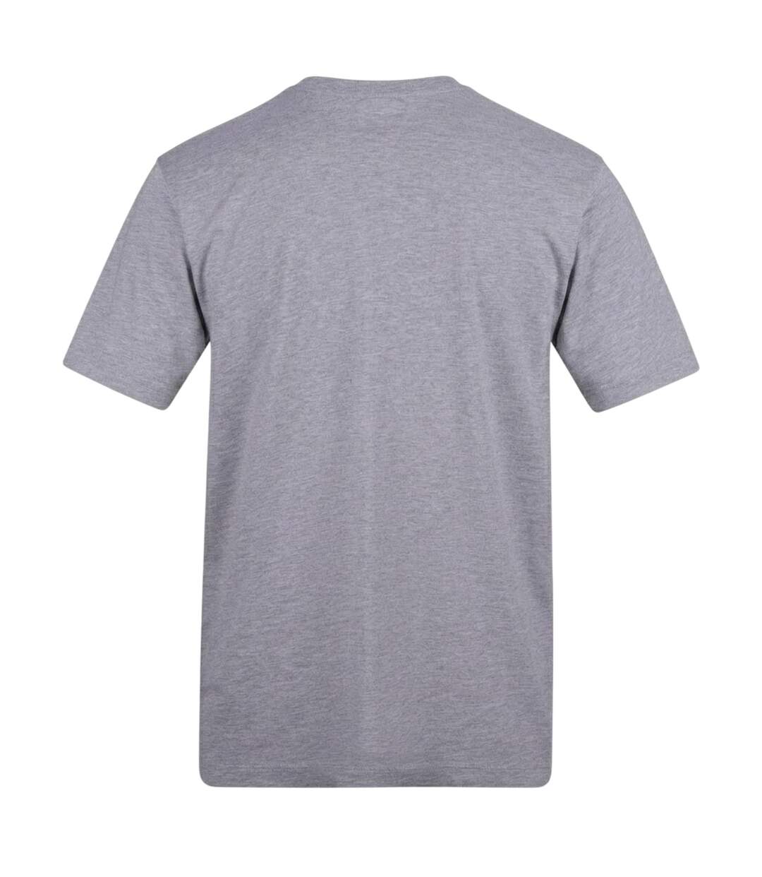 T-shirt Runeze Homme Gris AWD-2