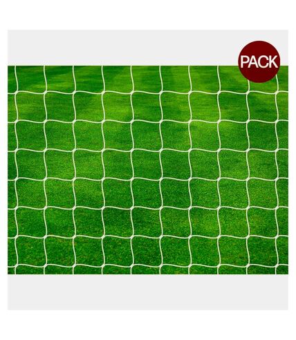 Filet de foot pro 243,84 cm x 731,52 cm blanc Precision