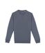 Unisex adult crew neck sweatshirt mineral grey Native Spirit-1