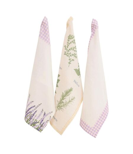Lot de 3 Torchons Garrigue 45x70cm Blanc