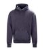 Sweat À Capuche Motif/style Rétro Adulte Gris Délavé Awdis-1