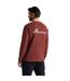 Mens Dillisk Ii Long-sleeved T-shirt Axinite Red Craghoppers-3