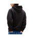Sweats à capuche noir homme tommy hilfiger linear-2