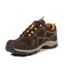 Regatta Mens Vendeavour Waterproof Walking Shoes (Peat/Gold Cumin) - UTRG8564