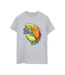 Disney Womens/Ladies The Lion King Colours Cotton Boyfriend T-Shirt (Gris sportif) - UTBI29425-1