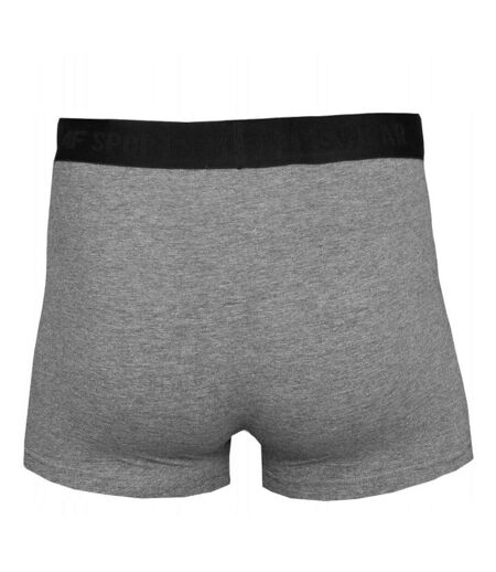 Boxer Homme Gris Argenté 4F