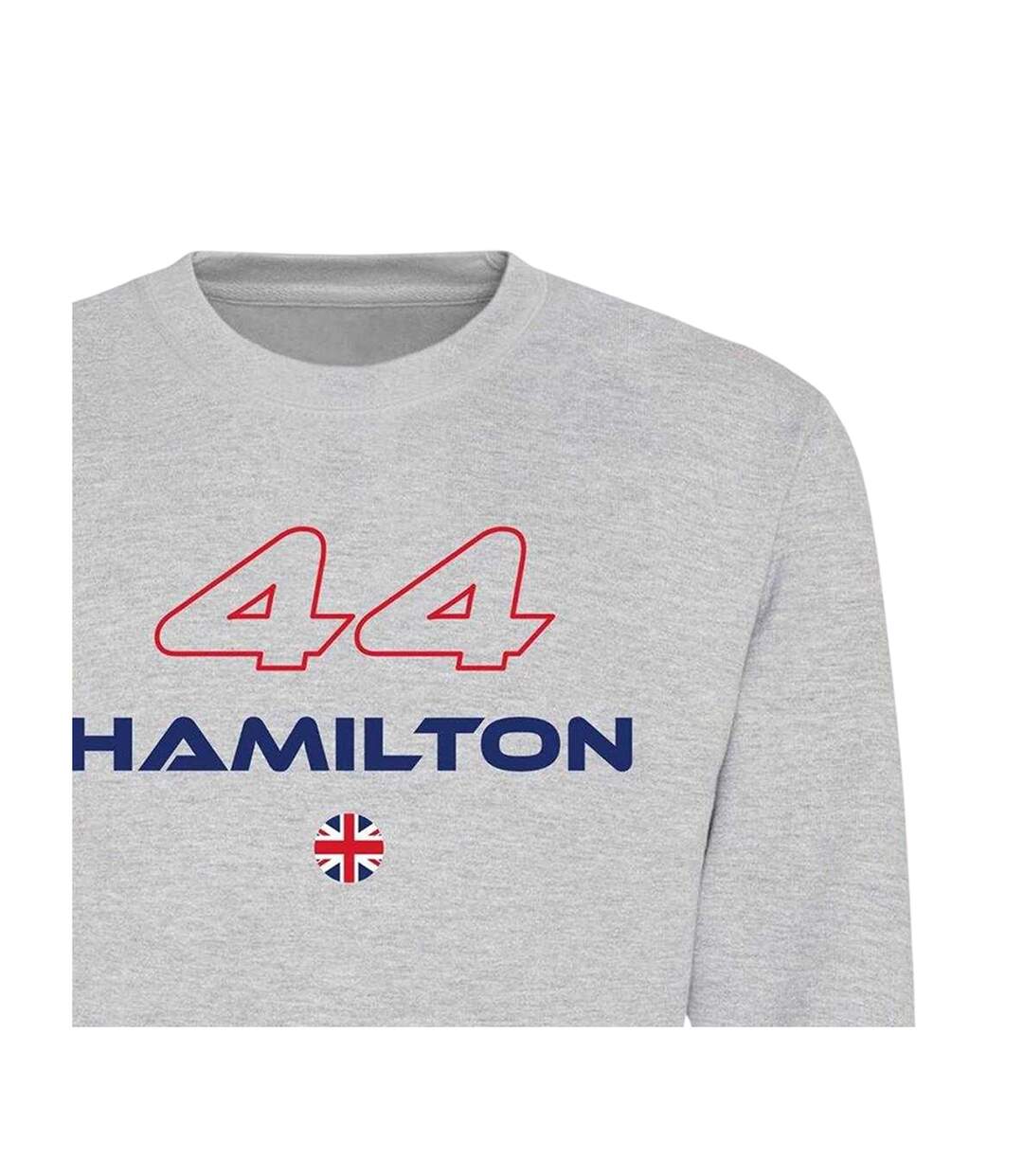 Unisex Adult Formula 1 Fleece Sweatshirt Grey AWD-3