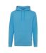 Unisex adult jasper recycled cotton hoodie tranquil blue Iqoniq-1
