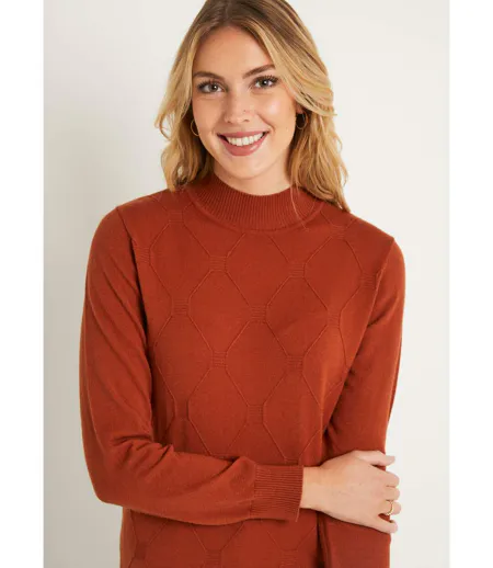 Pull doux uni col montant modal mélangé