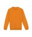 Unisex adult crew neck sweatshirt tangerine Native Spirit-1