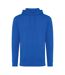 Unisex adult jasper recycled cotton hoodie royal blue Iqoniq-1