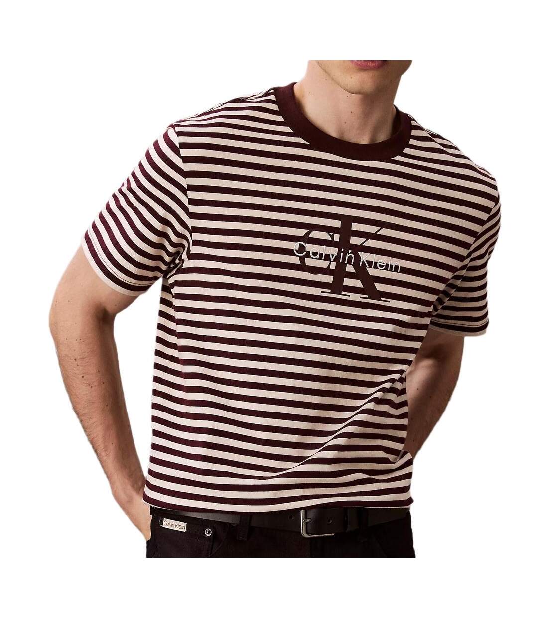 T-Shirt à rayure marron/écru homme calvin klein jeans 20s stripe-1