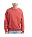 Pull rouge homme pepe jeans daniels-1