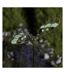 Pic de jardin à planter Papillon phosporescent Ailes spirales