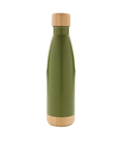 Stainless steel bottle one size green XD Collection