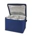 Spectrum 4l non-woven cooler bag one size royal blue Generic-2