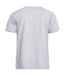 T-shirt D555 Flyers Homme Gris Duke-3