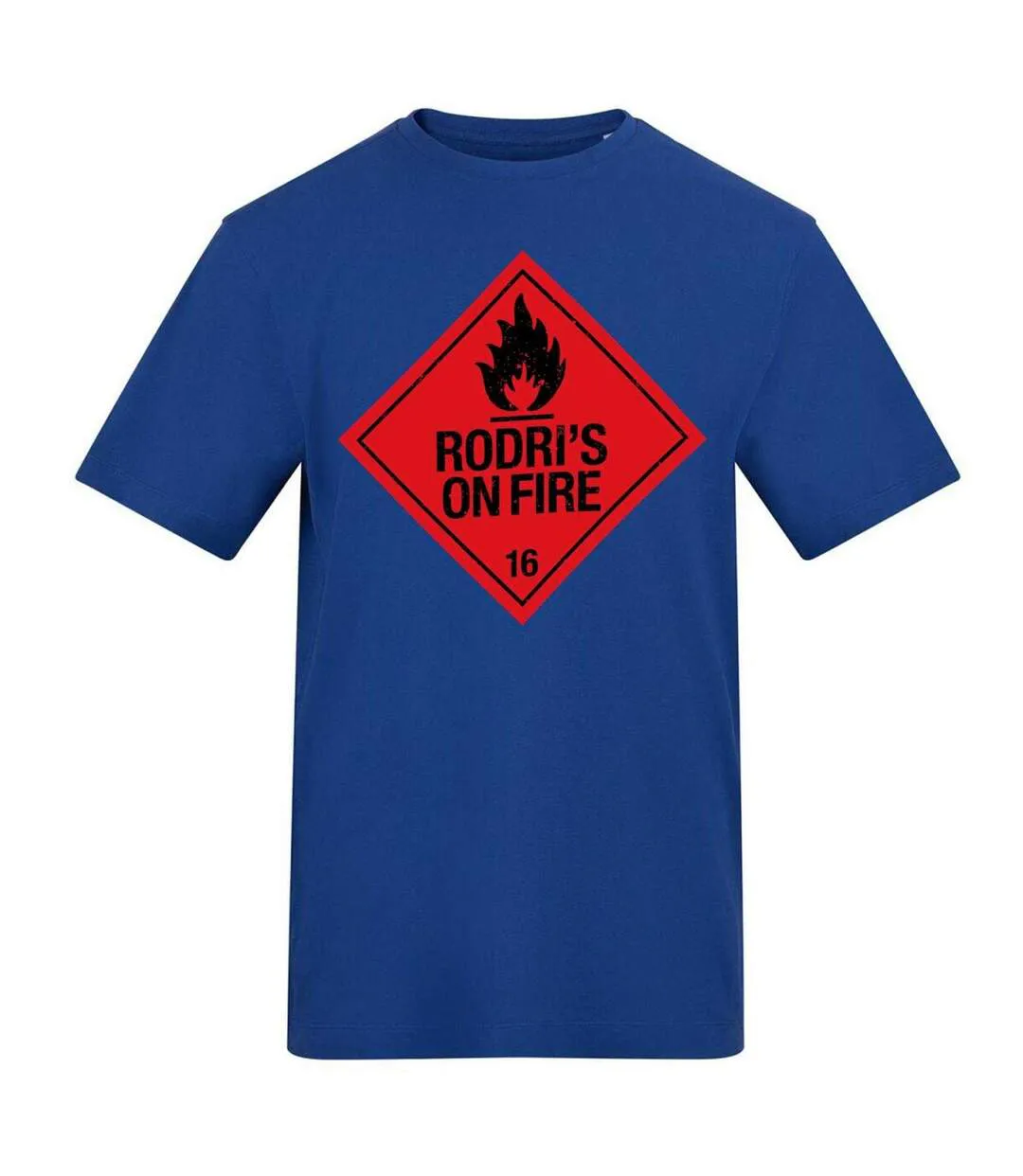 Unisex Adult Rodri Flame T-shirt Blue AWD-1