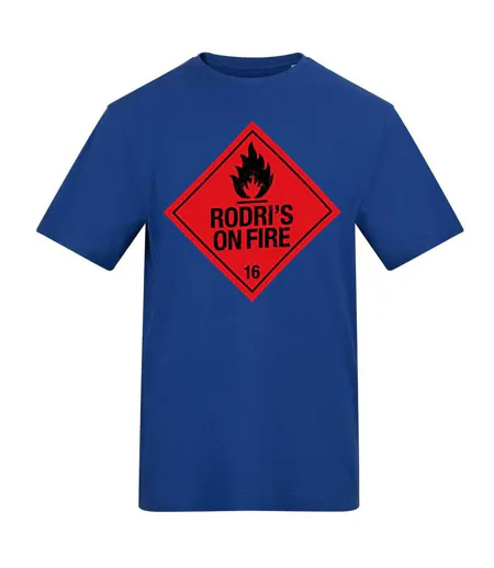 Unisex Adult Rodri Flame T-shirt Blue AWD