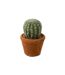 Plante Artificielle en Pot Cactus 15cm Vert