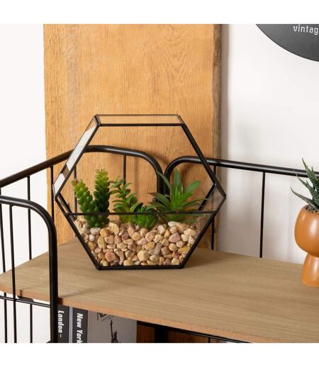 Terrarium Hexagonal en Verre Pia 20cm Noir