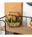 Terrarium Hexagonal en Verre Pia 20cm Noir-3