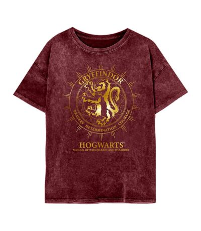 Harry Potter Womens/Ladies Gryffindor Constellation T-Shirt (Maroon) - UTHE659