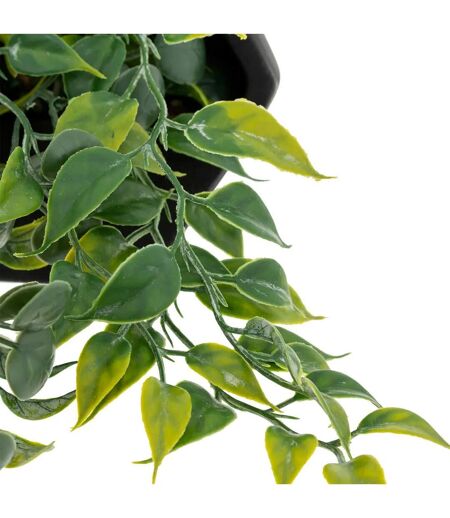 Plante Artificielle à Suspendre Ayame 45cm Noir