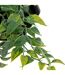 Plante Artificielle à Suspendre Ayame 45cm Noir-2