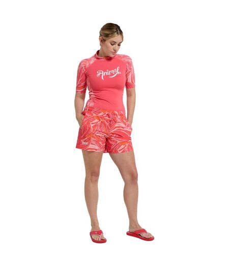 Animal Womens/Ladies Freya Printed Panelled Boardshorts (Pink) - UTMW3119