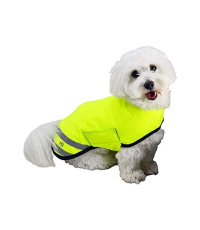HyVIZ Reflector Waterproof Dog Coat (Yellow) (3XS)
