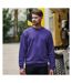 Pro RTX Mens Pro Sweatshirt (Purple) - UTRW6174