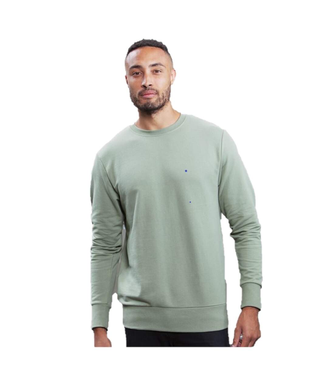 Mantis Unisex Adult Sweatshirt (Dusty Olive) - UTBC4746-1