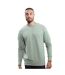 Mantis Unisex Adult Sweatshirt (Dusty Olive) - UTBC4746
