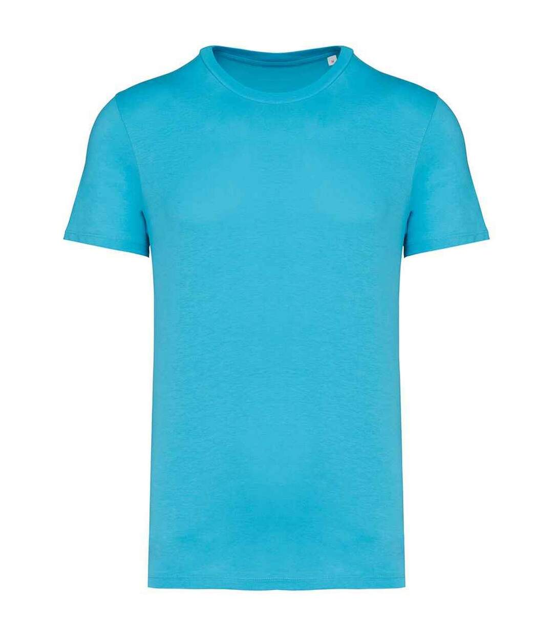 T-shirt adulte turquoise clair Native Spirit