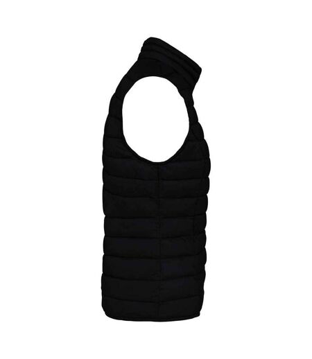 Womens/ladies light recycled body warmer black Native Spirit