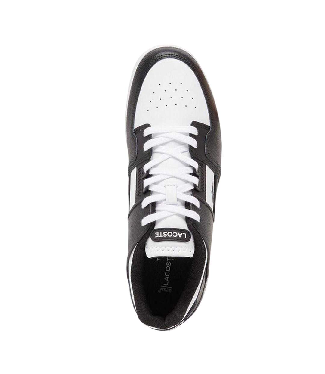 Baskets Court Cage Adulte Noir Blanc Lacoste-3