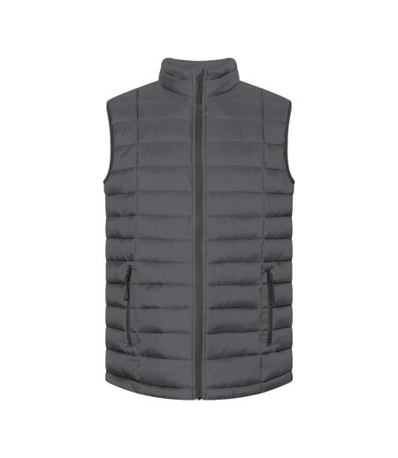 Doudoune Sans Manches Homme Gris Acier Promodoro